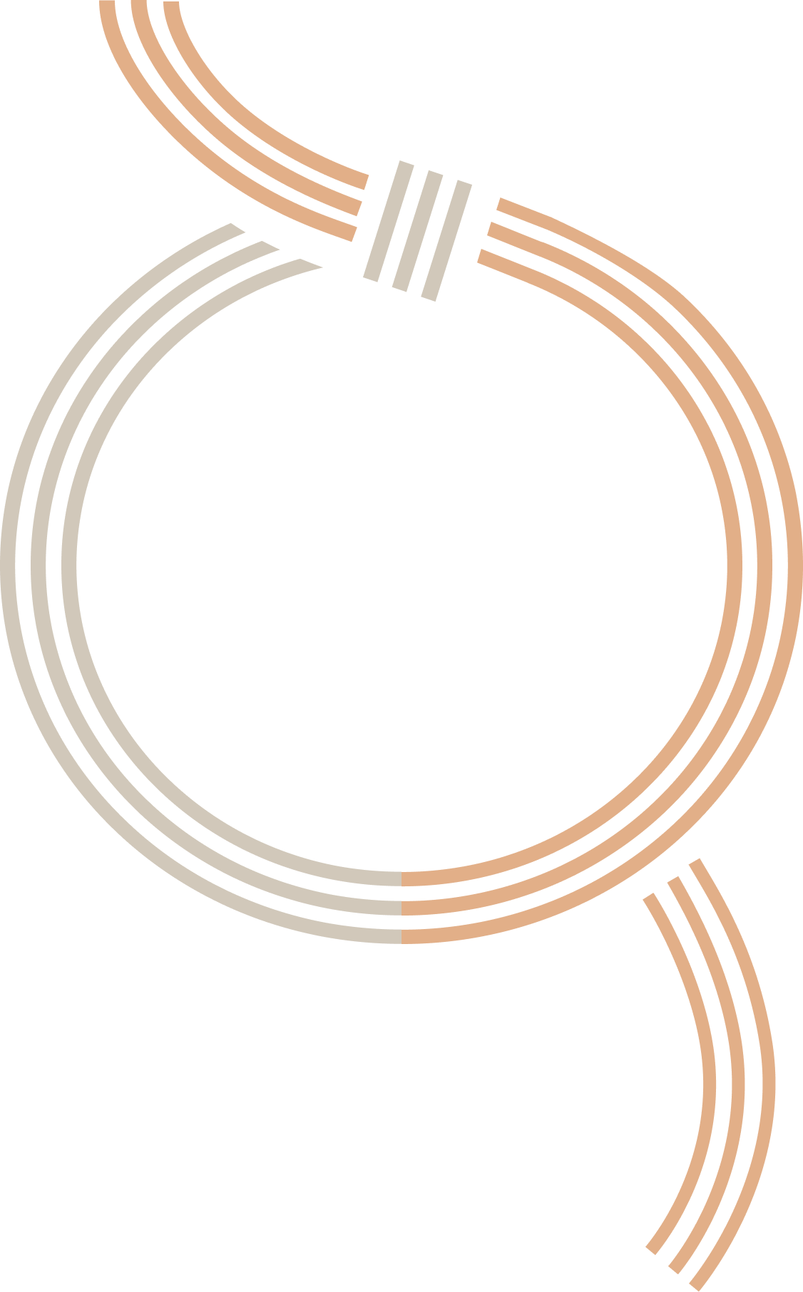 水引の背景画像